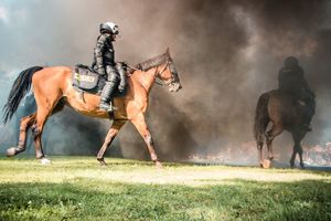 Wojewódzkie obchody Święta Policji 2018