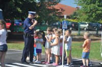 Jesienny Piknik Rodzinny, w którym wzięli udział także policjanci z pszczyńskiej komendy, w tym roku odbył się pod hasłem „Bądź bezpieczny na drodze”. Jego organizatorami była Rada Rodziców z Gimnazjum nr 2 w Woli, cała społeczność szkoły oraz Fundacja Autoklasa Dzieciom. Wśród przygotowanych atrakcji były występy profesjonalnych zespołów i młodzieżowych grup tanecznych, zabawy plastyczne i artystyczne malowanie twarzy, a także spotkanie z policjantami, którzy chętnie udzielali wszystkim zainteresowanym odpowiedzi na nurtujące ich pytania. Nie zapomniano również o ofercie kulinarnej, w organizację której włączyli się rodzice gimnazjalistów.