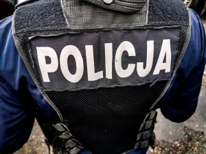 Zdjęcie kolorowe: umundurowany policjant tyłem