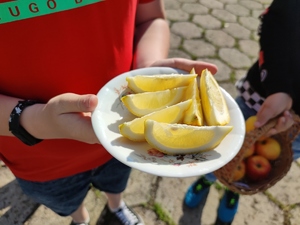 Zdjęcie kolorowe: pokrojona cytryna na talerzu