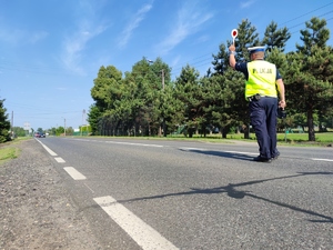 Zdjęcie kolorowe: umundurowany policjant ruchu drogowego z podniesioną do góry tarczą wydaje polecenie zatrzymania wobec nadjeżdżającego kierującego pojazdem