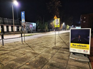 Zdjęcie kolorowe przedstawia potykacz. W tle przejście dla pieszych.