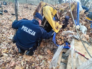 Zdjęcie przedstawia policjanta który zagląda do namiotu w lesie.