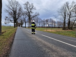 Na zdjęciu widoczny strażak, który kieruje ruchem.