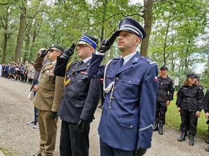 Zdjęcie przedstawia: salutujących mundurowych.