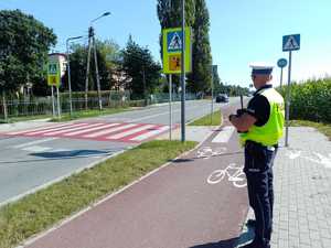 Zdjęcie przedstawia umundurowanego policjanta przy oznakowanym przejściu dla pieszych.