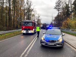 Zdjęcie przedstawia: policyjny radiowóz, umundurowanego policjanta i wóz straży pożarnej.