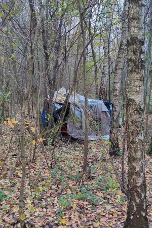 Zdjęcie przedstawia: namiot wśród drzew.