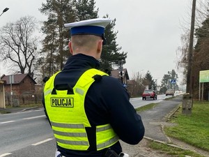 Zdjęcie przedstawia: policjanta ruchu drogowego. Z tyłu widoczne przejście dla pieszych.