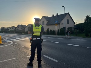 Zdjęcie przedstawia policjanta przy przejściu dla pieszych.