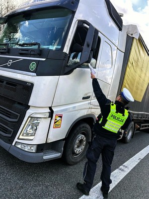 Zdjęcie przedstawia: funkcjonariusza policji z dokumentami przewozowymi