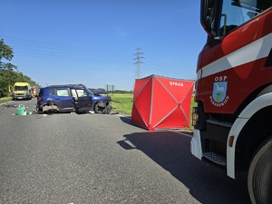 Zdjęcie przedstawia:  czynności prowadzone przez ratowników medycznych i straż pożarną.