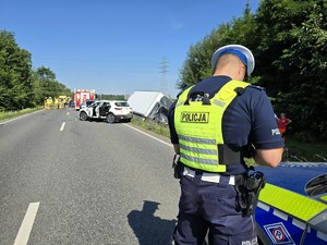 Zdjęcie przedstawia:  umundurowanego policjanta w trakcie czynności.