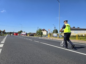 Zdjęcie przedstawia: policjanta na drodze podczas czynności służbowych.