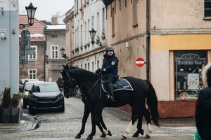 Zdjęcie przedstawia umundurowanego policjanta na policyjnym koniu.