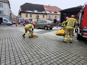Zdjęcie przedstawia uczestników wydarzenia.