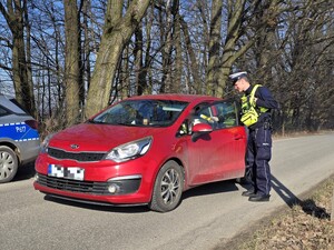 Na zdjęciu znajduje się umundurowany policjant obok samochodu osobowego.