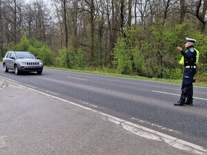 Zdjęcie przedstawia umundurowanego policjanta.