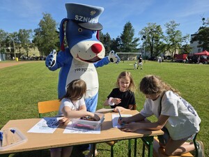 Zdjęcie: piknik charytatywny.