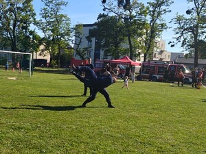 Zdjęcie: piknik charytatywny.