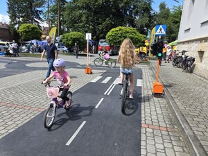 Zdjęcie przedstawia uczestników Pikniku "Bezpieczny Powiat".