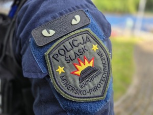 Zdjęcie przedstawia wspólne ćwiczenia służb na Jeziorze Goczałkowickim.