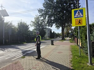 Zdjęcie przedstawia policjanta przy przejściu dla pieszych.