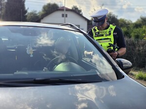 Zdjęcia przedstawiają policjantów z wydziału ruchu drogowego podczas czynności służbowych.